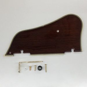Ibanez Guitar Pickguard 4PG12A0069