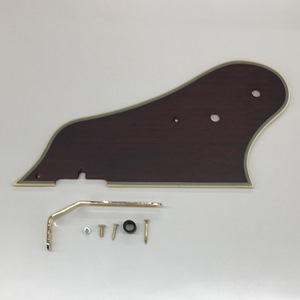 Ibanez Guitar Pickguard 4PG12A0071