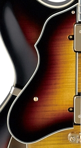 Ibanez Guitar Pickguard 4PG12A0078