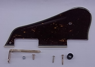 Ibanez Guitar Pickguard 4PG12A0081