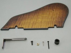 Ibanez Guitar Pickguard 4PG1SM1ATF