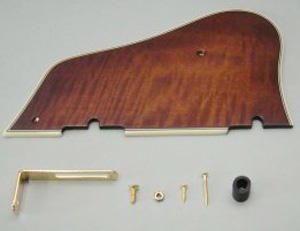 Ibanez Guitar Pickguard 4PG1SM2VLS