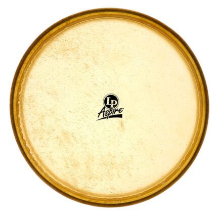 Latin Percussion Aspire Conga Heads