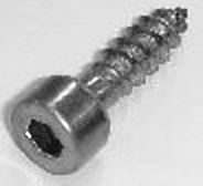 Ibanez Mounting Screw for Tight End 2GBX5BA003
