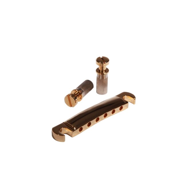 Ibanez AS120 Bridge Tailpiece Gold 2TP1C1G