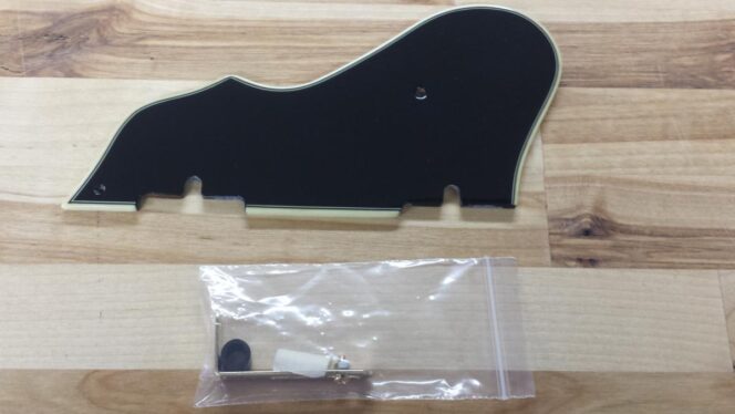 Ibanez Guitar Pickguard 4PG12A0077