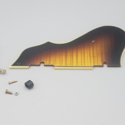 Ibanez Guitar Pickguard 4PG12A0040