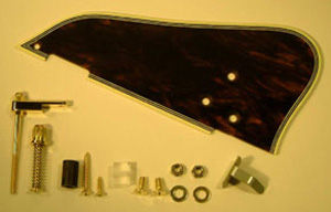 banez Guitar Pickguard 4PG1GB10